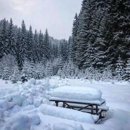 Penzion Pansky Dum Kvilda Kültér fotó